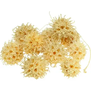 Amberbaum gebleicht 250g - Natürliche Deko, exotische Baumfrüchte, ideal für Herbstdekoration & Adventskranz
