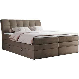 MKS Meble Boxspringbett Polsterbett mit Bettkästen Multipcket Matratze Doppelbett Kopfteil - GOLD 10 KING - 140x200 cm, Schlafzimmer, Betten, Boxspringbetten