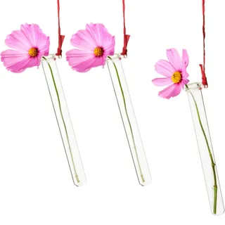 Tuuters 25 Stück Reagenzglashalter für Blumen mit Reagenzglas zum Aufhängen | 5 schmale Glasröhrchen mit Acryl Halterung, Glas Vase als Wanddeko, Fensterdeko hängend, Blumenvase, Reagenzglasständer