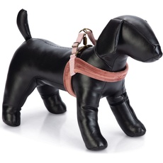 Designed by Lotte Velura (XS, Hund, Spazieren), Halsband + Leine