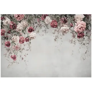 WallArena Fototapete Blumen Betonwand Vlies Tapete Wohnzimmer 250x175