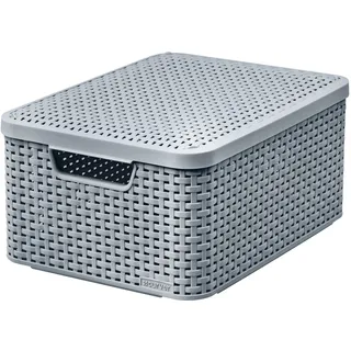 Curver Aufbewahrungsbox 38 x 28 x 16 cm 1-tlg. Silber