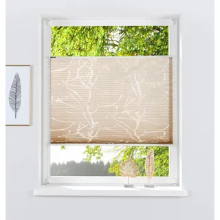 my home Plissee »Anna« Lichtschutz ohne Bohren verspannt Ästemotiv, Bestseller mit über 500 4,5-Sterne-Bewertungen, Klemmträger, beige