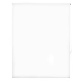 INTERBLIND Premium Rollo, transparent, glatt, 100 x 250 cm (Breite x Höhe) - Stoffmaß 97 x 245 cm - Weiß - für Fenster