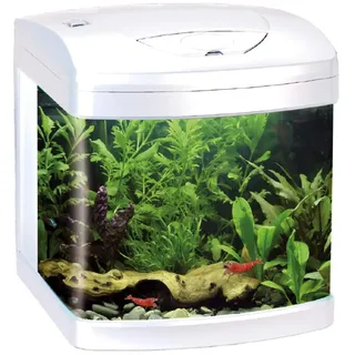 Amtra XCUBE 26 Liter LED weiß