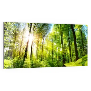 DEQORI Glasbild Echtglas | Motiv Licht durchdringt Bäume | horizontal einteilig 100x50 cm | schöne Dekoration | Wandbild für Wohnzimmer, Schlafzimmer, Flur & Küche | moderne Wanddeko