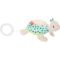Bild von Mini-Spieluhr Schildkröte