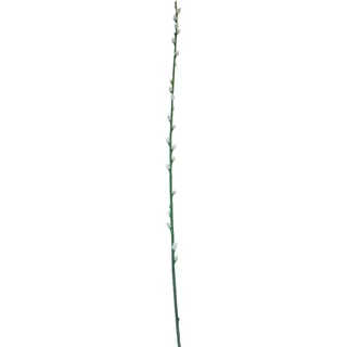 Deko Weidenkätzchen Zweig 100 cm