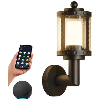 Tuya Vintage Smart LED Wandleuchte WiFi Bluetooth RGBCW Außen IP65