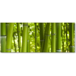 Tulup® Küchenrückwand Spritzschutz aus Glas -125x50 -Spritzschutz auf gehärtetes Glas Deko Blumen & Pflanzen Bambus - Grün