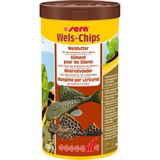 Bild von Wels-Chips Nature 250 ml