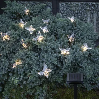 Star Trading 482-07, 15 Lampen, LED, Warmweiß, Draußen, Transparent, Akku - Transparent