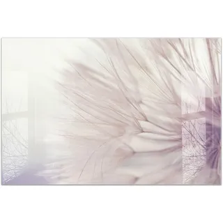 timalo Küchenbild aus Acrylglas modernes Wandbild Glasbild Deko Küche XXL Bild wie Glas | 120x80cm Pusteblume, zart, Pastellfarben, Natur
