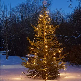 hellum Christbaumbeleuchtung mit Ring, 10 LED Stränge für außen, Stecker | Lichterkette Weihnachtsbaum Quick Lights mit 250 LED warmweiß, Weihnachtsbaum Beleuchtung beleuchtet 2,50m <59lm 577914