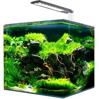 AMTRA NANOTANK System 60 - Glasaquarium komplett mit LED-Licht und Filter/cm 38x38x43 / 60 Liter
