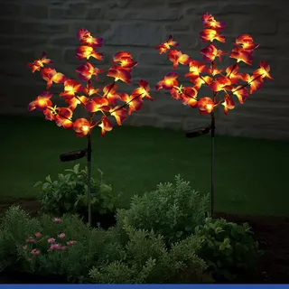 Maximex Solar LED Gartenstecker Orchideen, 2er Set, warmgelbe LEDs, 2 Lichtmodi, Dämmerungssensor, wetterfest, Solar Gartenbeleuchtung für Beete und Pflanzkübel, 20-55 x 75 cm, Kunststoff/Metall