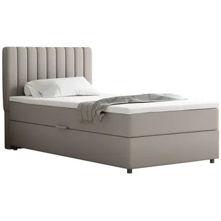 panda möbel Boxspringbett 100x200 EVEREST, mit Topper, mit Bettkästen, Einzelbett, Dunkelbeige, Panda Möbel - Beige
