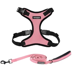 Voyager Step-In Lock Hundegeschirr und reflektierende Hundeleine, Kombi-Set mit Neoprengriff, 1.5 m lang, unterstützt Welpen/Katzen kleine, rosa schwarzer Rand (mit Leine), XL