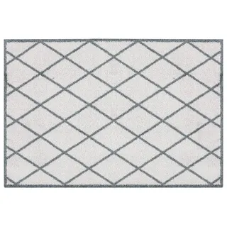 Zala Living Home Fußmatte für Innen und Außen 50x70cm – Fussmatte Schmutzfangmatte Modernes-Design Türmatte Waschbar & Wetterfest, rutschfest für Eingangsbereich & Außenbereich – Scale Grau