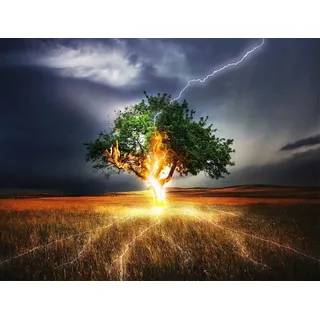 Wowdecor DIY Malen nach Zahlen Kits Geschenk für Erwachsene Kinder, Malen nach Zahlen Home Haus Dekor - Blitz Baum des Lebens 40 x 50 cm ohne Rahmen