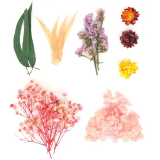 MOTIBACK Trockenblumen, Natürliche getrocknte Blumen,Trockenblumen Zum Basteln Mini Trockenblumen Set für DIY-Kerzenharz, Schmuck, Nägel, Scrapbooking-Bastelarbeiten (Rosa)