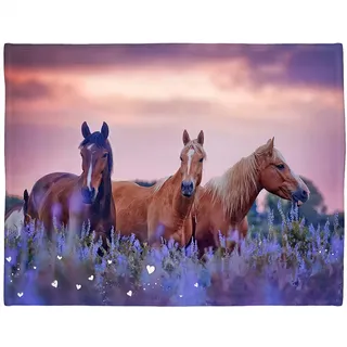 Violetpos 150 x 200 cm Flanell Decke Weich Fleecedecke Kuscheldecken SanftBettüberwurf Lila Lavendel 3 Pferde Sonnenuntergang