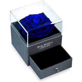 Nuptio Konservierte Blumen Frische Rose in Einer Schmuckschatulle, Rose Geschenkbox Ewige Blumen Unendlichkeitsrose für Frauen, Blaue Ewige Rose für Hochzeit Valentinstag Geburtstag Muttertagsgeschenk