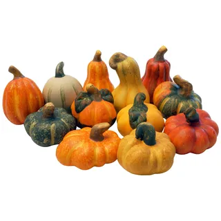 khevga Herbstdeko Zierkürbis – Deko-Kürbisse aus Terracotta im 12er Set, realistische Herbstdekoration für Tisch, Fensterbank, Garten und Wohnbereich