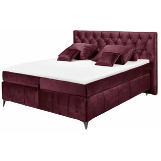 meinBett Boxspringbett Pembroke - rot ¦ Maße cm B: 200 H: 121