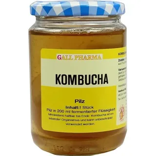 Hecht Pharma Kombucha Teepilz Früchtetee 1 St 1 g