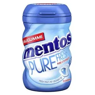 Mentos PURE FRESH MINT Kaugummis 35 Dragees