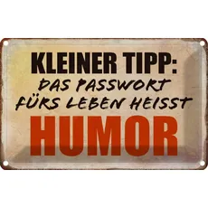 Blechschild 20x30 cm - kleiner Tipp das Passwort Humor