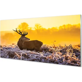 Glasbilder 100x50 Wandkunst Deer Winter Sonnenaufgang - Gelb