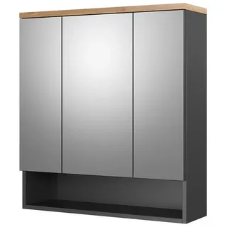 Vicco Eden 70 cm grau