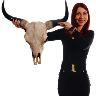 Deko Schädel 64cm, Polyresin Stier Bulle Longhorn Kopf Trophäe, In-/Outdoor natur - Braun
