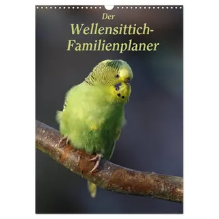 Der Wellensittich-Familienplaner (Wandkalender 2026 DIN A3 hoch), CALVENDO Monatskalender: Putzige Piepmätze (CALVENDO Tiere)