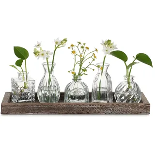 Hewory Kleine Vasen für Tischdeko, 5er Vintage Vasen Set mit Holztablett | Mini Vase Glas, Kleine Blumenvasen, Klar Glasvase für Deko Wohnzimmer Home Esstisch Zuhause Geburtstag Party Geschenk