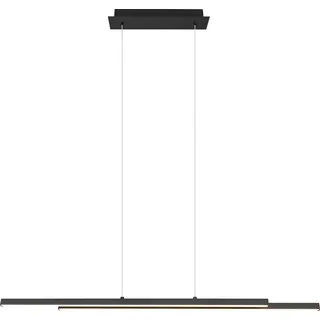 LED-Pendelleuchte Odio, 8,5 x 110 x 150 cm, schwarz, warmweiß - Schwarz