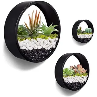 JonesHouseDeco Metall Hängende Wandvase Wandmontage geometrischer Wand-Pflanzgefäß Übertopf vertikaler Pflanzenbehälter für Sukkulenten, Kakteen, Kräuter und mehr (schwarz 5 cm Dicker)