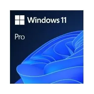 Windows 11 Pro DVD DSP/SB FR