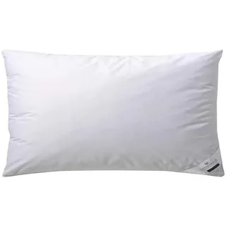 billerbeck Daunenkissen Martina 40 x 80 cm Weiß