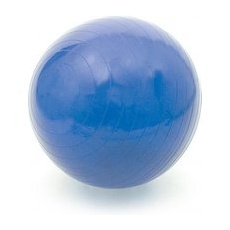 Antar Rehabilitationsball Durchmesser 55 cm mit ABS-System