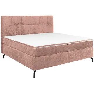 Esposa Boxspringbett , Rosa , Textil , H3 , Höhe ca. 17 cm , 160x200 cm , Stoffauswahl, Topper durchgehend, Matratze in verschiedenen Härtegraden erhältlich , Schlafzimmer, Betten, Boxspringbetten