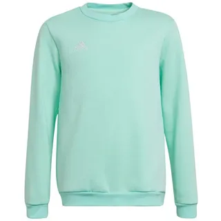 adidas Entrada 22 Sweatshirt Mint 140