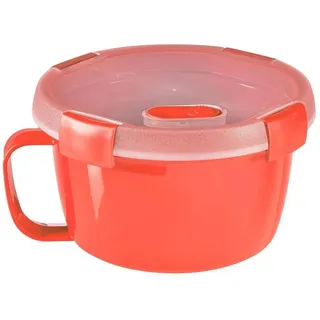 Curver 250004 Storage Box, Plastic