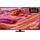 QN90F 55" 4K QLED Fernseher