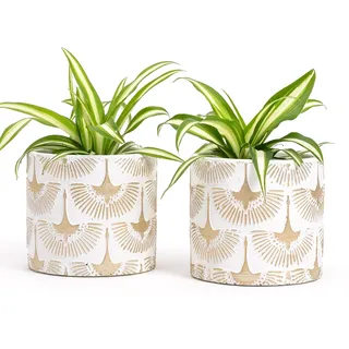 Vimin Box Paar handbemalter Terrakotta-Pflanzgefäße, Farbe Weiß und Gold, für Pflanzen und Blumen, Wohnraumdekoration, Durchmesser von 11 bis 11 cm (Weiß/Gold, 2 x S)