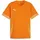 Puma teamGOAL Trikot Orange M