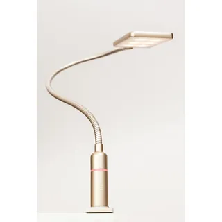 kalb Material für Möbel 4W LED Bettleuchte Leseleuchte Flexleuchte Nachttischlampe Bettlampe Leselampe, Auswahl:1er Set messing matt