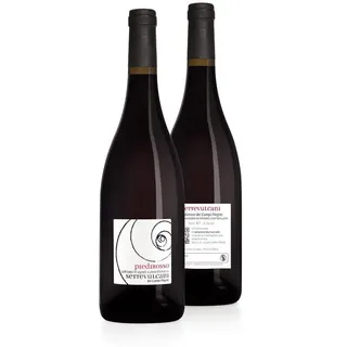 Wein Settevulcani Piedirosso Der Felder Flegrei Doc - Karton 6 Stück